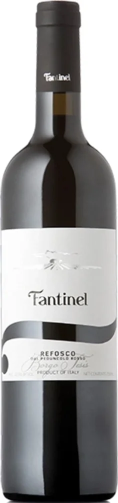 Fantinel Refosco Borgo Tesis 2021 0,75 L
