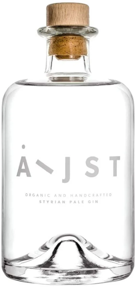 Gin Aeijst Styrian Pale 0,5 L